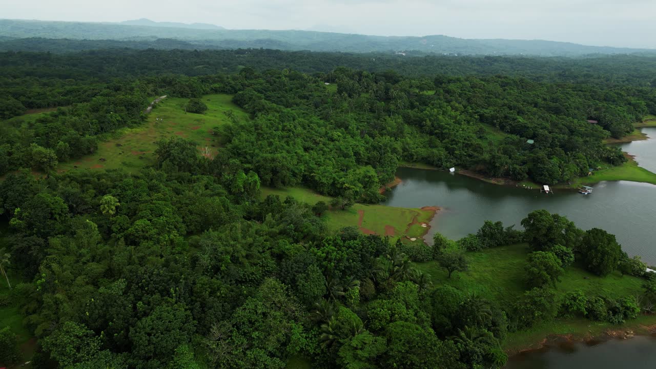 A drone moves over vast green fields and dense trees, with a subtle lake glimpse at the edge—capturing nature’s vibrant, peaceful landscape from above in Laguna