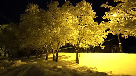 winter evening in city park