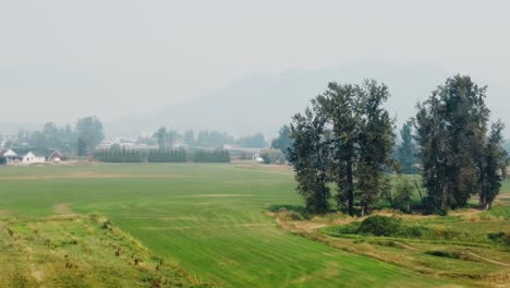 Drohnenaufnahmen-Von-Grünen-Feldern-In-Kanada