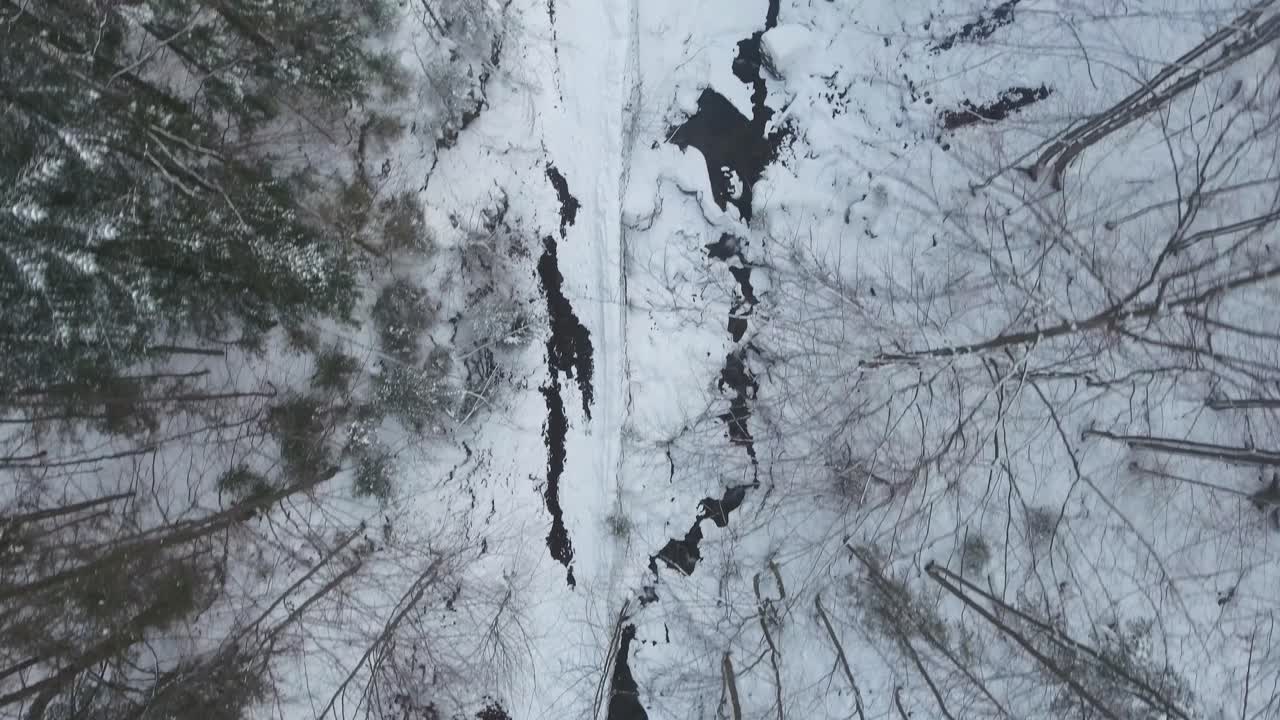vista aérea superior del bosque de invierno 4k