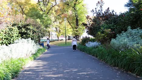 people walking in a sunny park