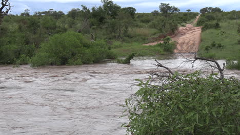 flash flood water flows through lowveld nature in south africa