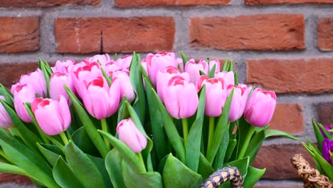 pink tulips bouquet against a brick wall