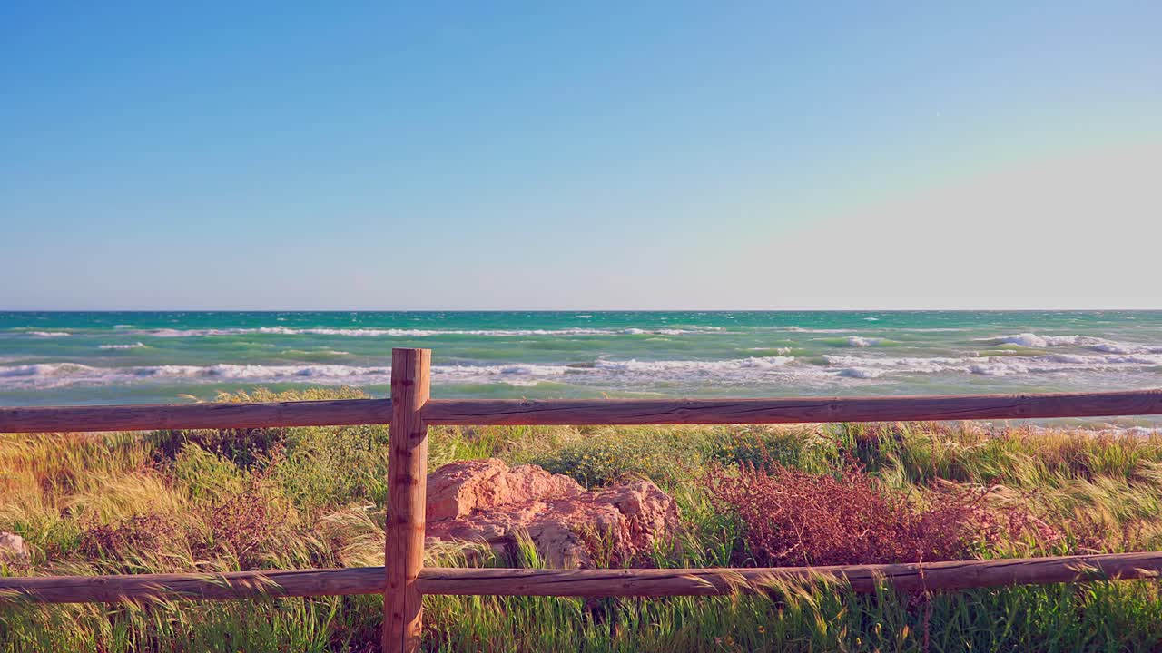 느린 동작으로 바람에 날리는 울타리 뒤에 잔디