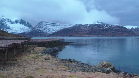travelling cinematográfico de bacalao colgado para secarse en noruega