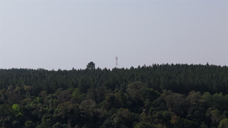 Aerial view of a Lookout tower in the middle of a dense lush green forest landscape