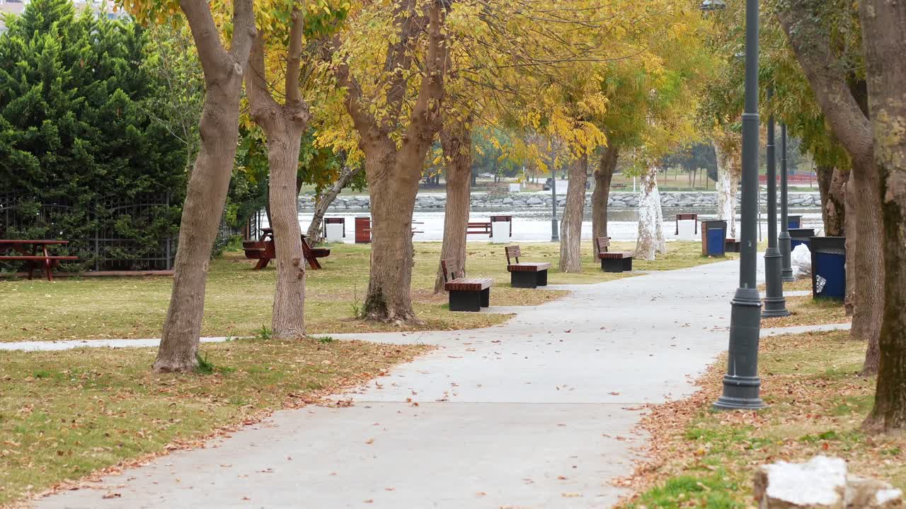 Autumn Park Scene with Benches and Path