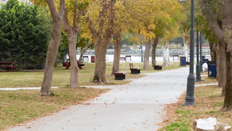 autumn park scene with benches and path