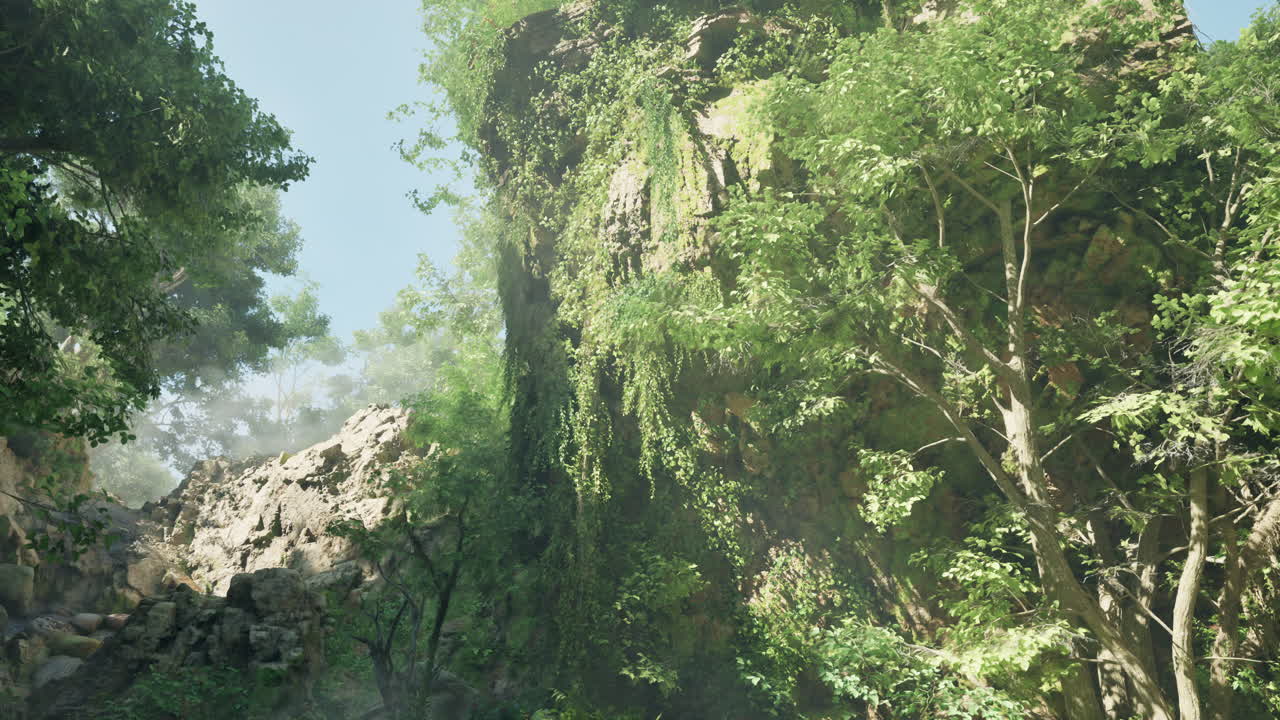 un bosque exuberante con un acantilado de roca altísimo