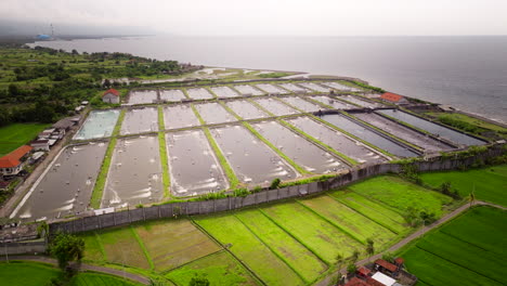 Industria-De-Cultivo-De-Camarón-Con-Estanques-Aireados-En-La-Costa-De-Bali,-Vista-Aérea