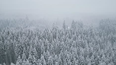 The drone footage captured the snowy forest with thick frost-covered trees, the atmosphere of a winter blizzard and the untouched beauty of the wild nature. Aerial flying forward.