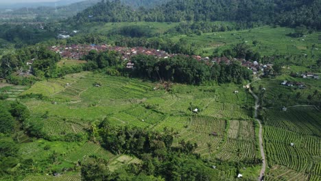 Imágenes-Aéreas-De-Tierras-De-Cultivo-Y-Un-Pueblo-Del-Valle-Junto-A-Las-Montañas-De-Smog-En-Sideman,-Bali,-Indonesia