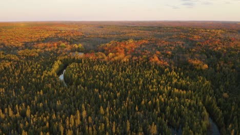 aerial, kitch-iti-kipi freshwater spring in michigan wilderness in fall