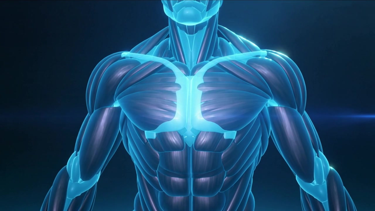 Fascio di luce che illumina un modello 3D di torso in un laboratorio virtuale, ruotando e mostrando una sovrapposizione ciano per lo studio