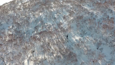 Una-Persona-Con-Una-Tabla-Dividida-En-Un-Bosque-Nevado-En-Iwanai,-Hokkaido,-Japón,-Junto-A-Niseko.