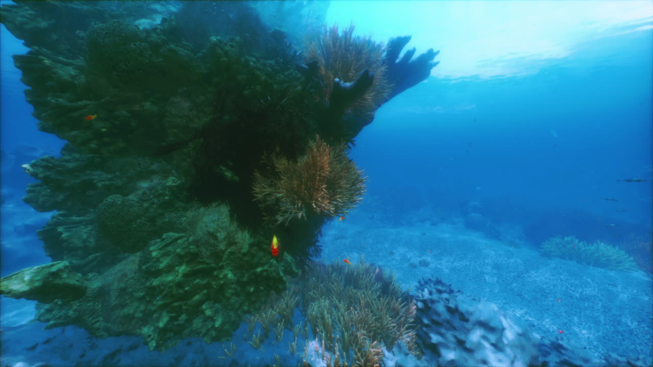 explorando un mundo submarino vibrante lleno de arrecifes de coral y peces