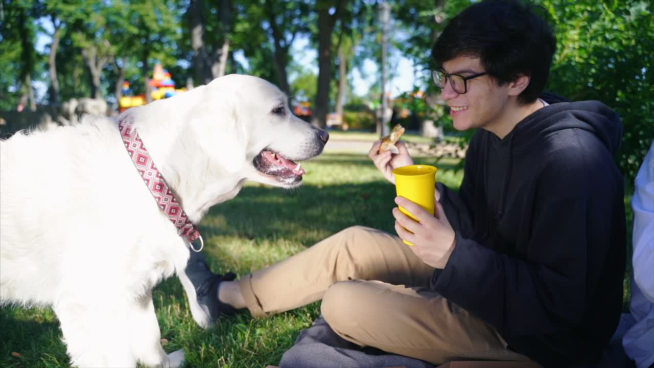 남자 와 개 가 공원 에서 피크닉 을 즐기고 있다