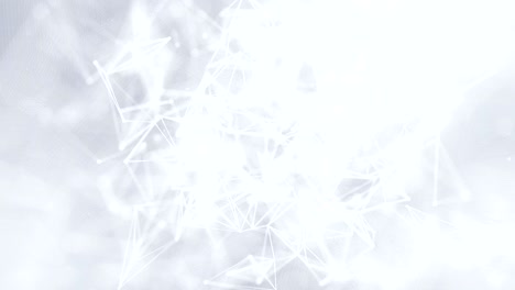blanco liso abstracto limpio negro y blanco bajo poli.
