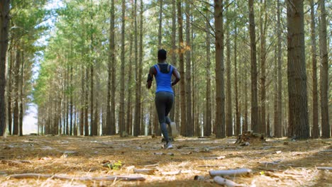 Woman-jogging-in-the-forest-4k