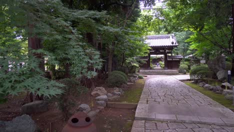 the long paths of the buddhist and shinto temples of japan are surrounded by beautiful gardens that in summer take on an intense and refreshing green