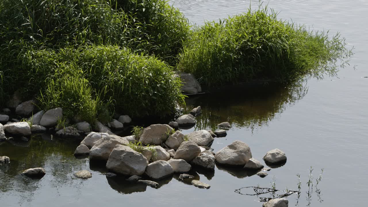 자연 속의 호수 물