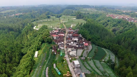 traditional farming village amid rice terraces fields kragilan indonesia aerial