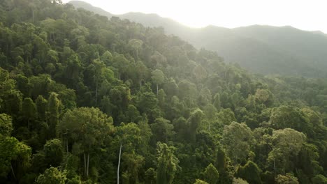 Aerial-tracking-shot-of-lush-jungle-rainforest-at-sunrise-in-Koh-Chang,-Thailand