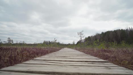 low angle view of wooden path in varnikai cognitive walking way