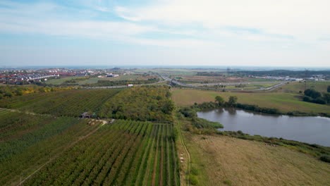 Ruhiger-See-Und-Plantage-Im-Dorf-Straszyn-In-Danzig,-Polen---Luftdrohnenaufnahme