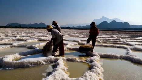 salt harvesting in a traditional salt farm