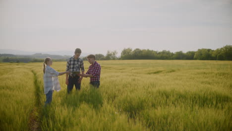 agricultores discutiendo la salud de los cultivos en un campo de trigo