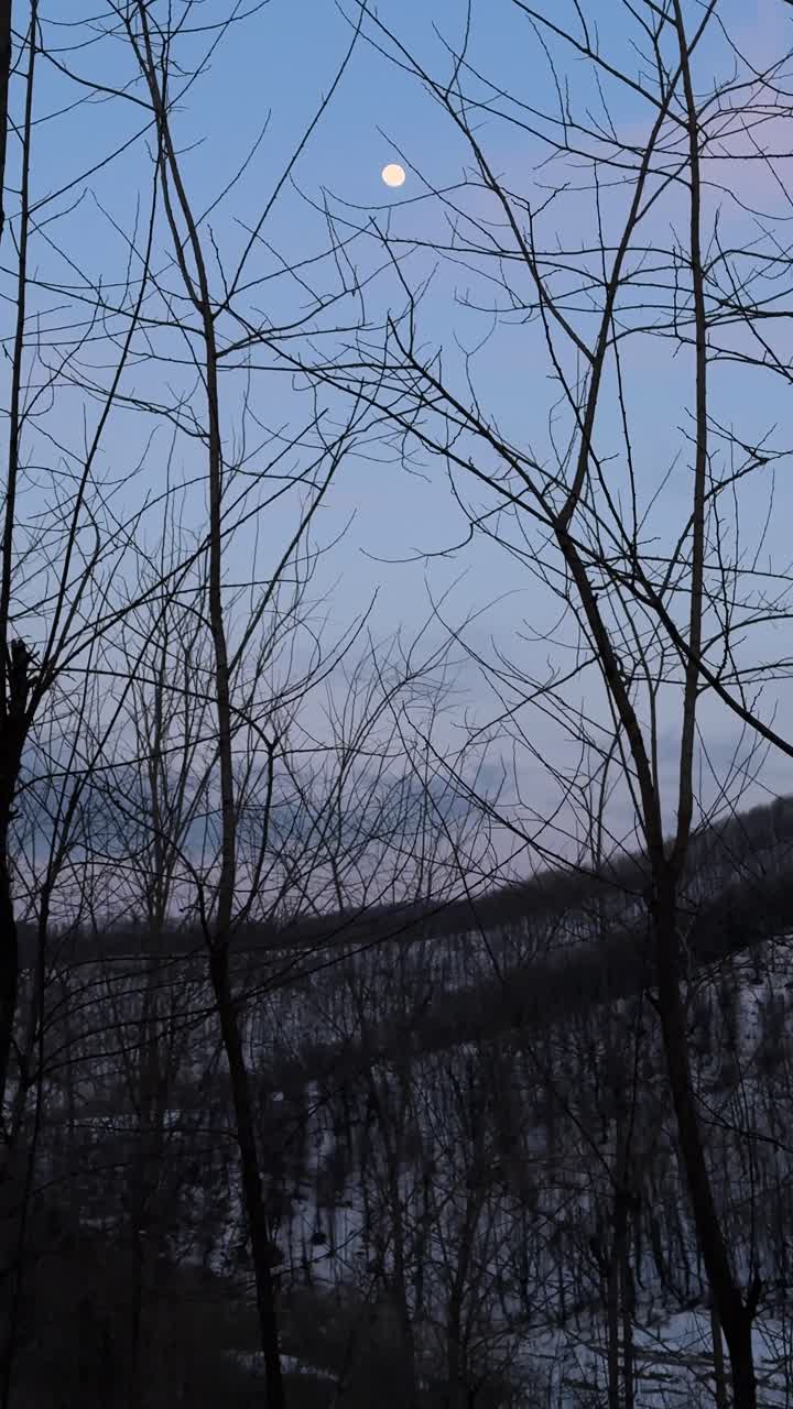 evening winter forest in twilight scenic landscape nature of hyrcanian country life in iran mountain beautiful blue cold color dusk frost majestic moon moonrise outdoor rural sky sunset wonderland