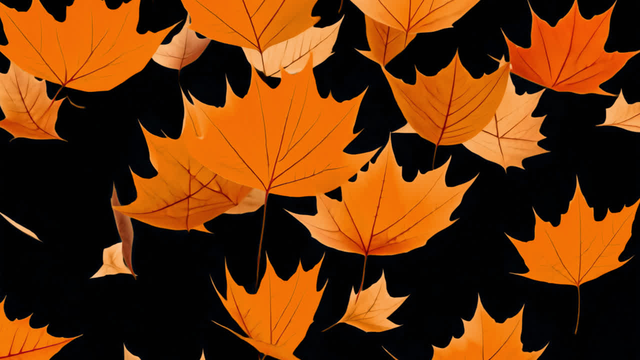 Falling autumn leaves animated overlay, transparent 4K video, alpha channel, ProRes 4444