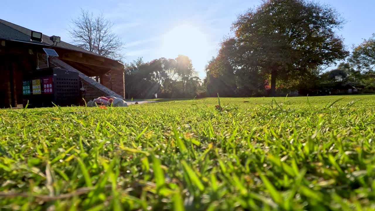 밝은 빛 아래의 조용한 풀, 멜버른 해가 지는 조용한 분위기를 포착합니다.