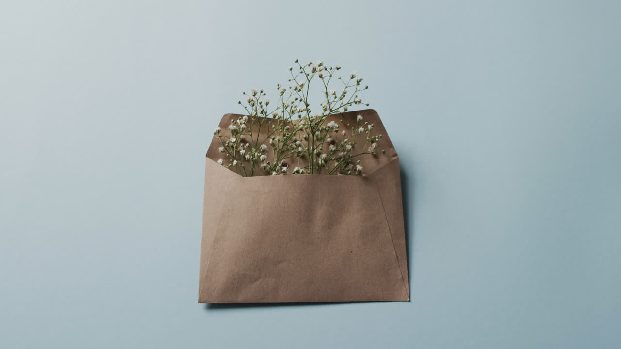 Video di fiori bianchi in una busta marrone e spazio copia su sfondo blu.
