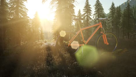bicycle-in-mountain-forest-at-sunset