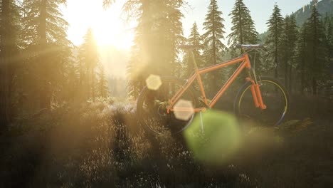 bicycle in mountain forest at sunset