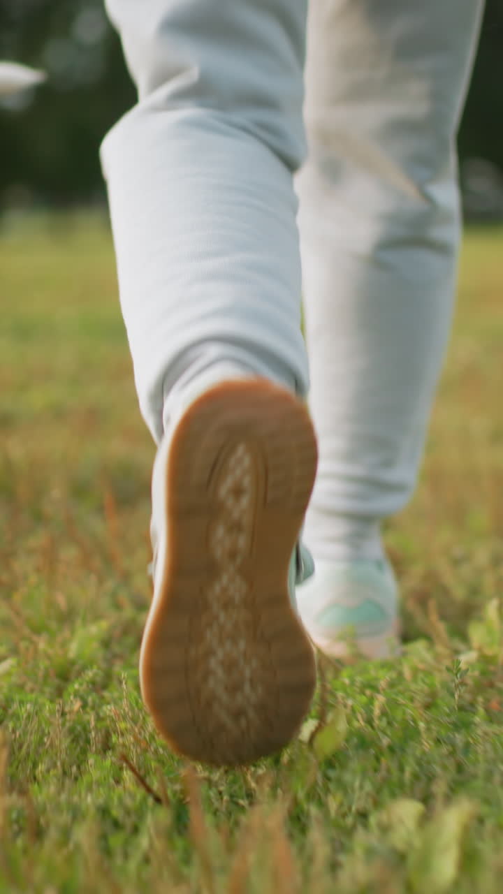 Un perro y unas zapatillas deportivas corriendo por una pradera soleada, una mascota juguetona tirando de la correa, zancada enérgica y cola borrosa, escena de parque abierto con árboles y hierba verde, actividad al aire libre alegre y agradable