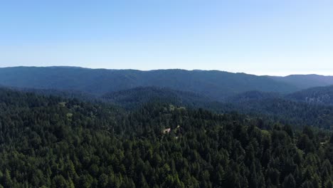 drone video shot of a green landscape in santa cruz mountains, surrounded by a pine forest, a lot of vegetation and a blue sky all over the horizon