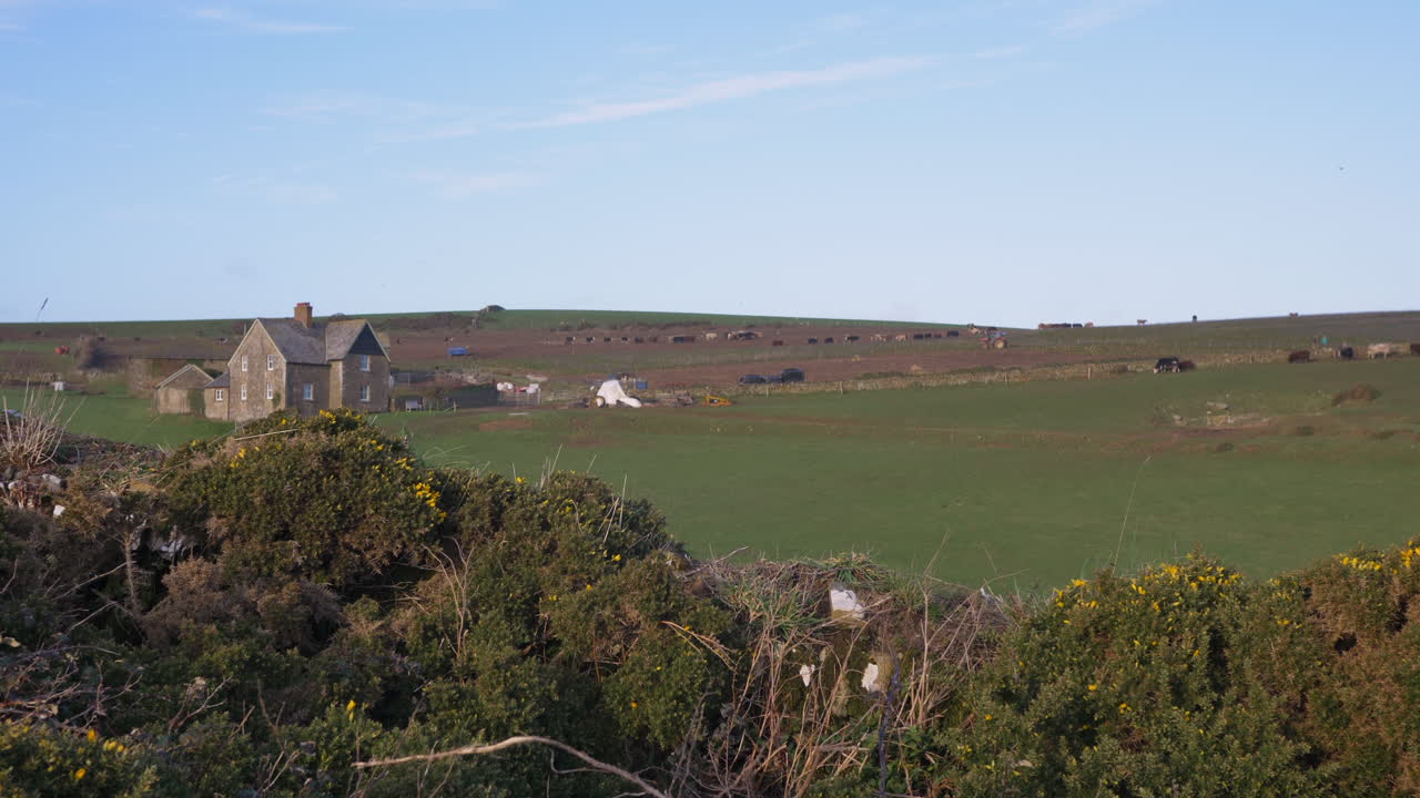 Vista panoramica di una fattoria nel Devon, Regno Unito