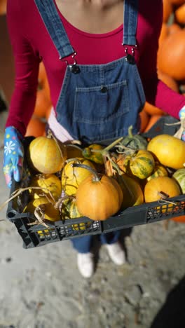 mujer sosteniendo una caja de calabazas y calabazas