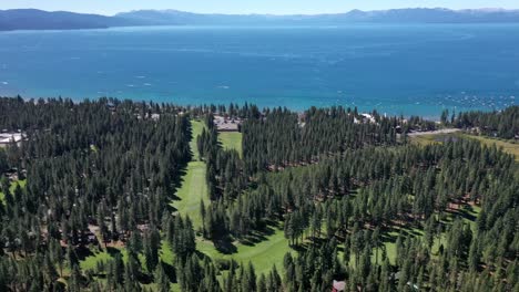 exuberante vegetación que rodea el lago tahoe en california - toma aérea de drones