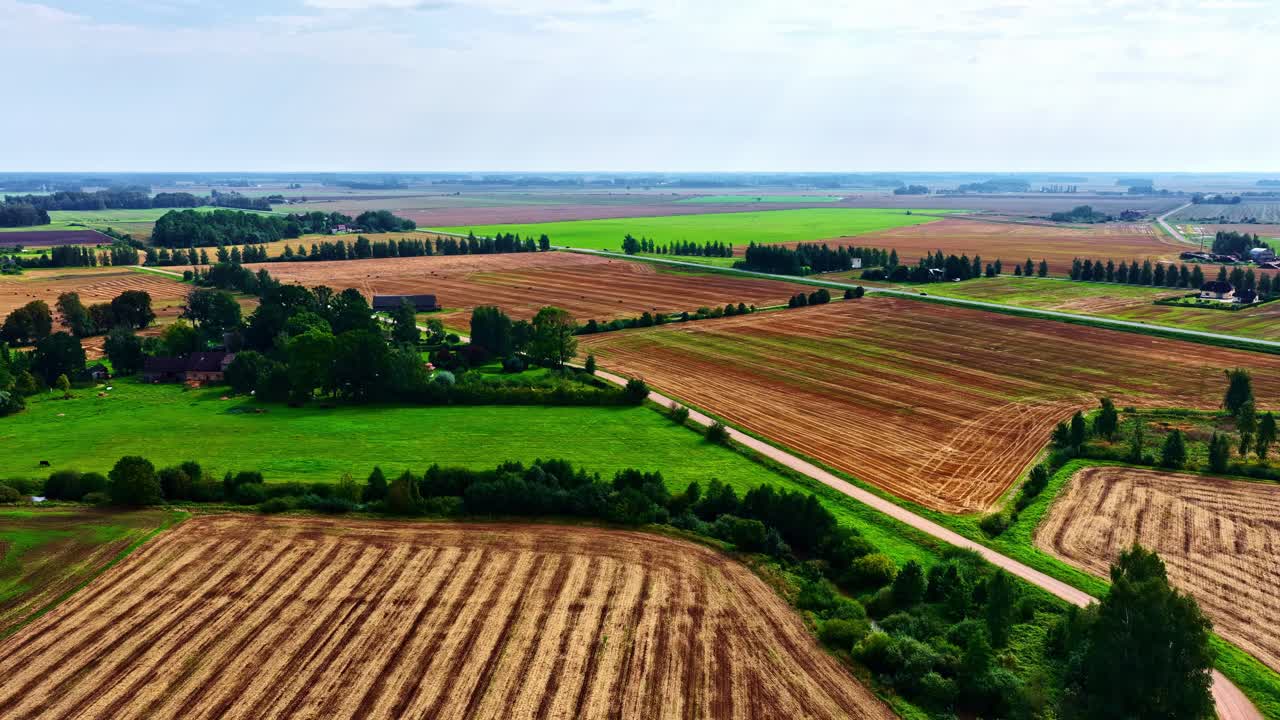 Aerial view of serene rural fields with trees and clear sky