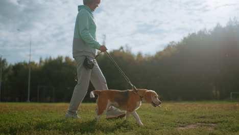 handler strolling alongside energetic puppy on grassy court under partly cloudy sky, showing strong leash control, outdoor pet bonding, sunny day exercise, and joyful walking session near park trees