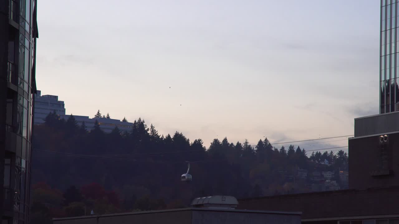 황혼의 활성 공중 트램웨이, 새 떼가 현장을 날아다니고, 타이트한 정적 샷