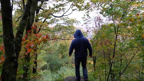 hombre alcanzando la cumbre de la montaña en otoño bosque de hojas de arce