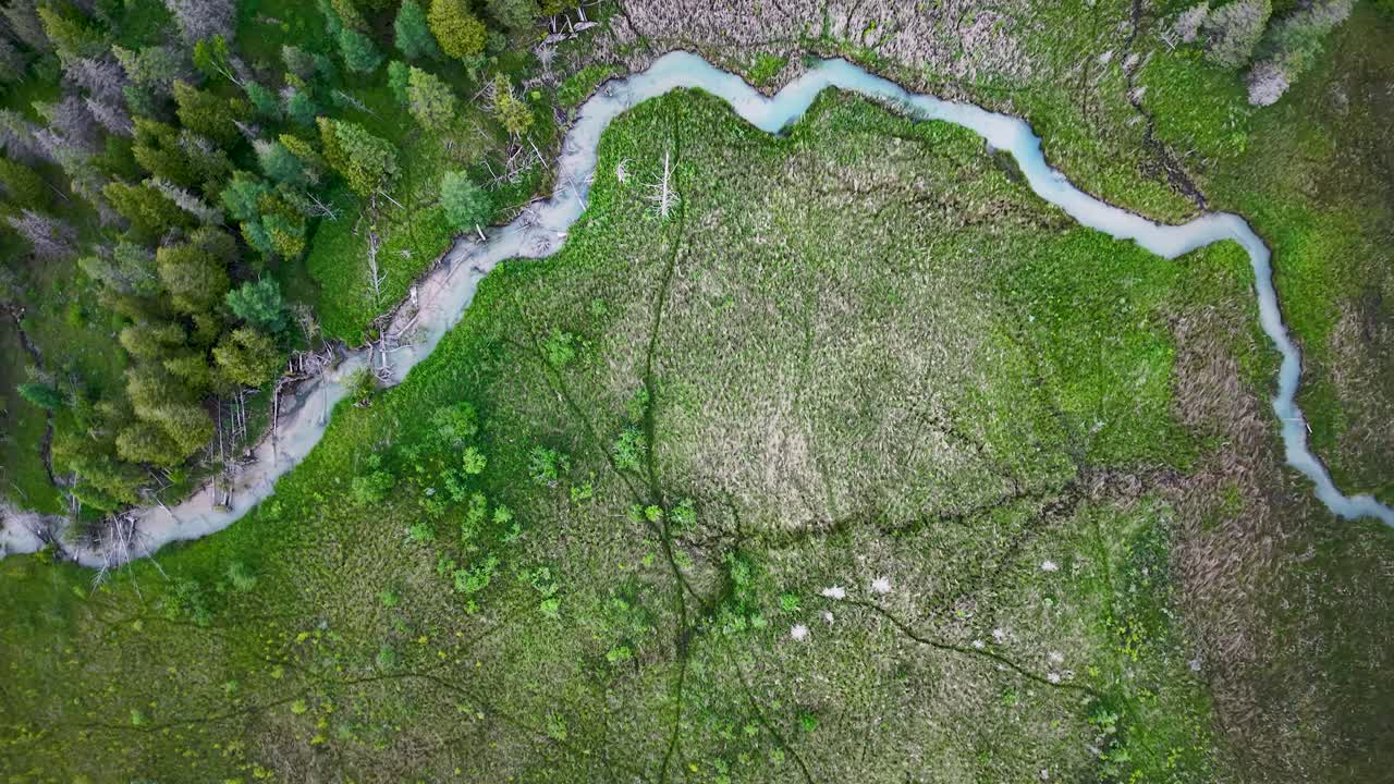 Aerial drone view of a lush green meadow with intersecting dirt paths and surrounding trees