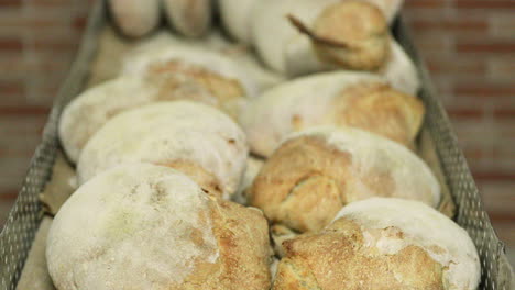 tray of freshly baked bread buns in a bakery - close up, tilt down