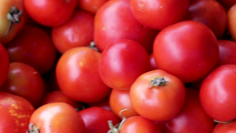 tomates orgánicos frescos de la granja de cerca desde un ángulo diferente
