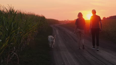 couple and dog enjoy a sunset walk